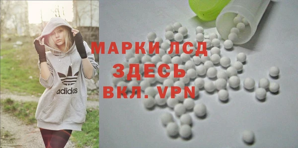 гидропоника Алзамай