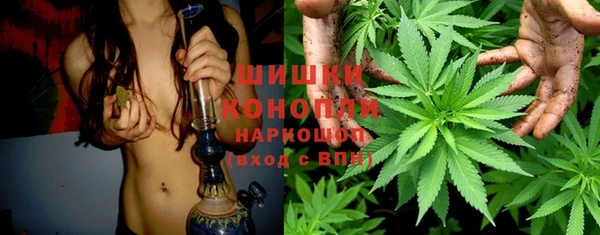 гидропоника Алзамай