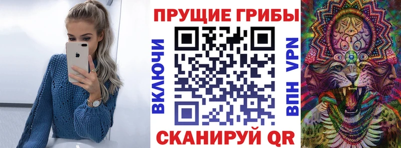 Псилоцибиновые грибы GOLDEN TEACHER Инза